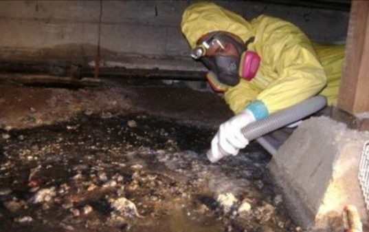 crawl space clean up, water extraction, under house water removal