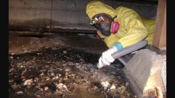 crawl space clean 2760 quote call