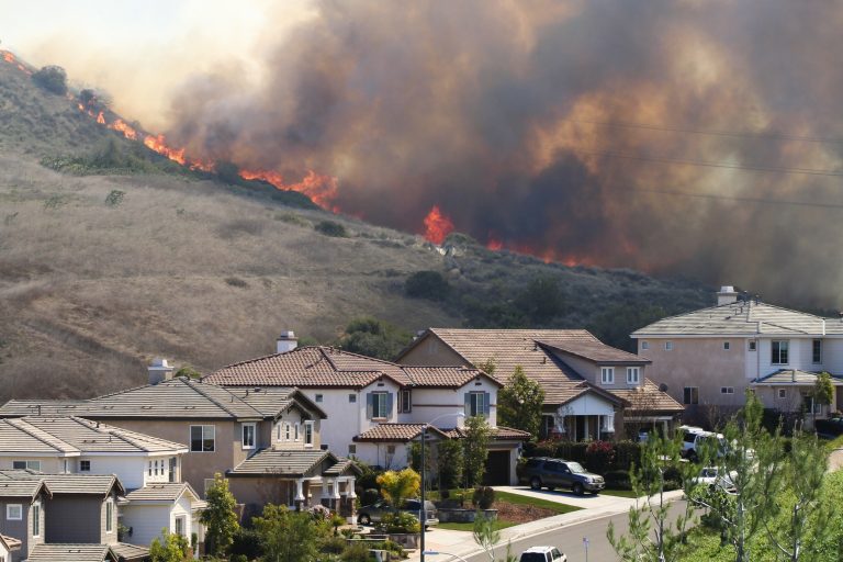 wildfire damage, smoke damage by wildfires