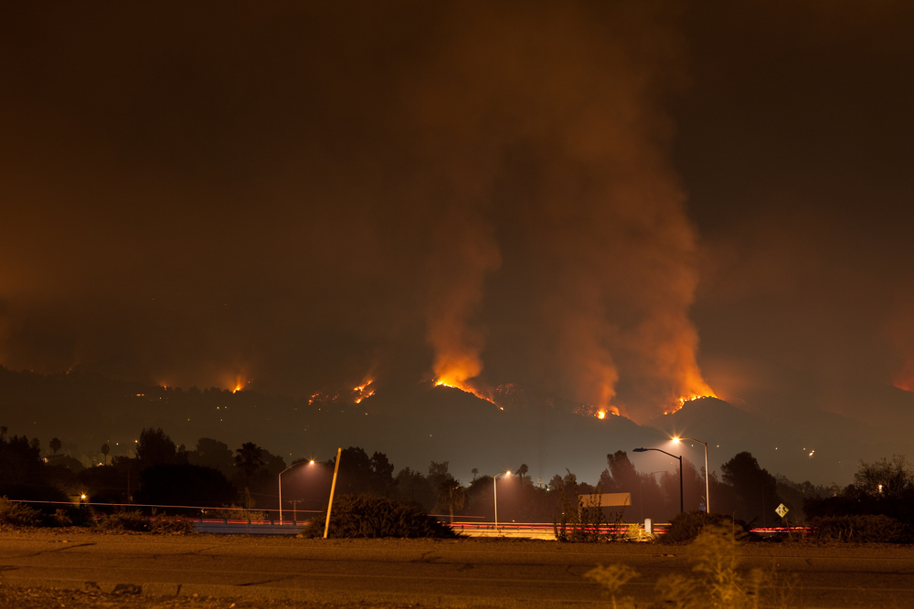 wild fire prevention, wildfire property damage