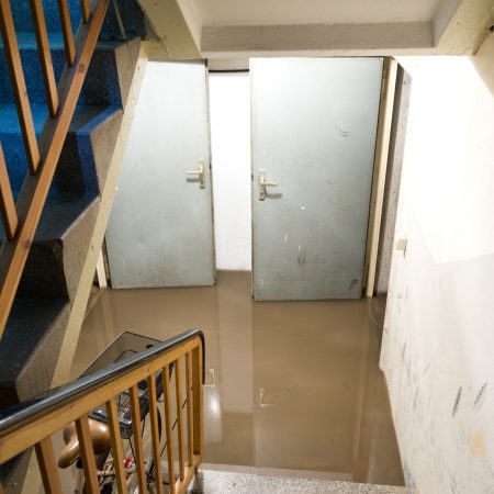 flooded basement, water in crawl space
