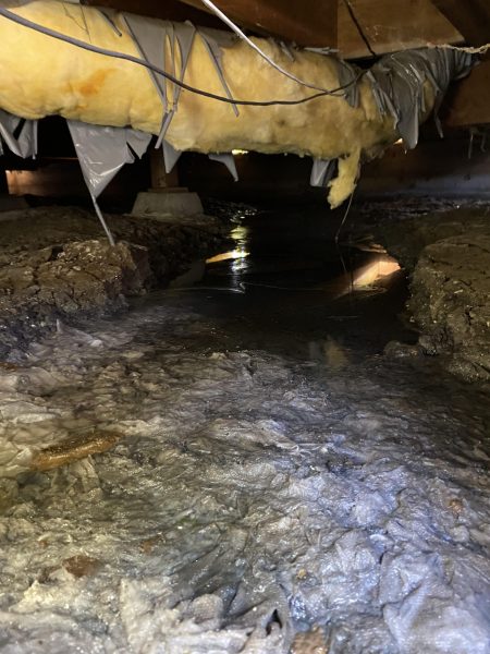 flooded crawl space, contaminated crawl space